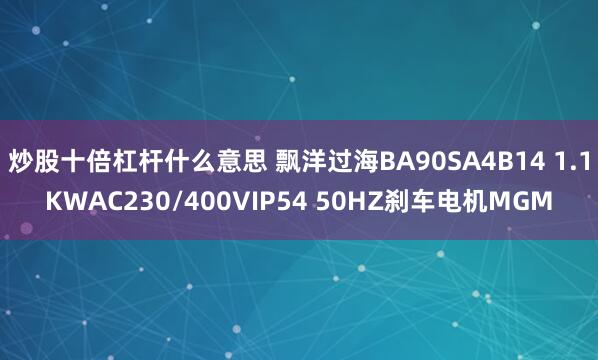 炒股十倍杠杆什么意思 飘洋过海BA90SA4B14 1.1KWAC230/400VIP54 50HZ刹车电机MGM