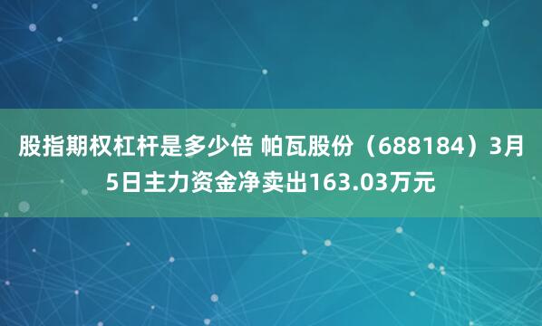 股指期权杠杆是多少倍 帕瓦股份（688184）3月5日主力资金净卖出163.03万元