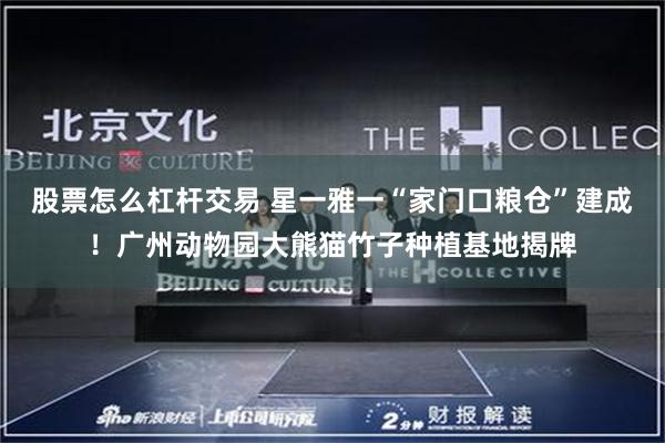 股票怎么杠杆交易 星一雅一“家门口粮仓”建成！广州动物园大熊猫竹子种植基地揭牌