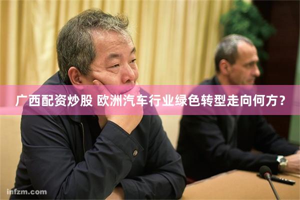 广西配资炒股 欧洲汽车行业绿色转型走向何方？