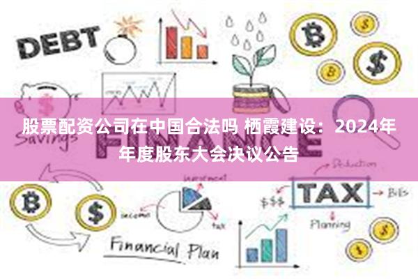 股票配资公司在中国合法吗 栖霞建设：2024年年度股东大会决议公告