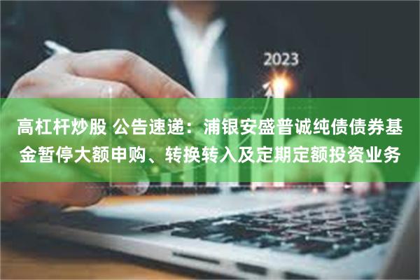 高杠杆炒股 公告速递：浦银安盛普诚纯债债券基金暂停大额申购、转换转入及定期定额投资业务