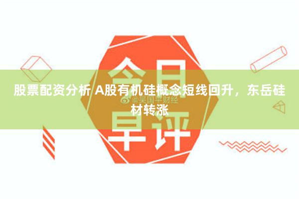 股票配资分析 A股有机硅概念短线回升，东岳硅材转涨