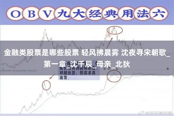 金融类股票是哪些股票 轻风拂晨雾 沈夜寻宋朝歌_第一章_沈千辰_母亲_北狄