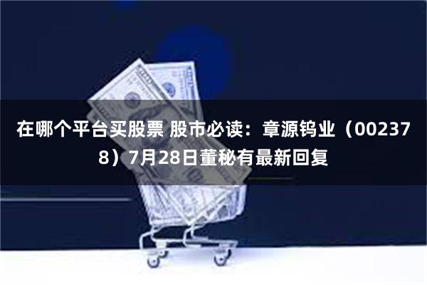 在哪个平台买股票 股市必读：章源钨业（002378）7月28日董秘有最新回复