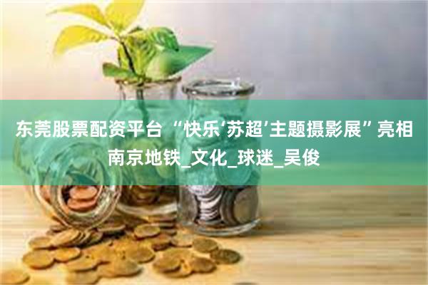 东莞股票配资平台 “快乐‘苏超’主题摄影展”亮相南京地铁_文化_球迷_吴俊