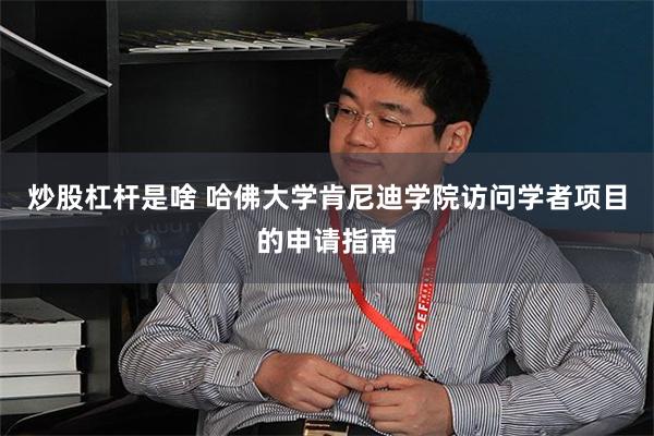 炒股杠杆是啥 哈佛大学肯尼迪学院访问学者项目的申请指南