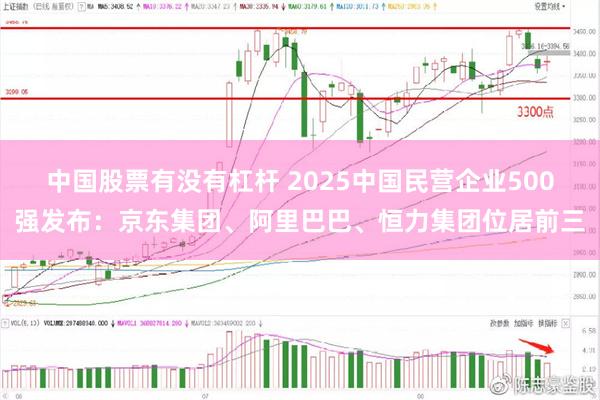 中国股票有没有杠杆 2025中国民营企业500强发布：京东集团、阿里巴巴、恒力集团位居前三
